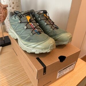 Salomon XT-6 GTX in Desert Sage and Laurel Wreath